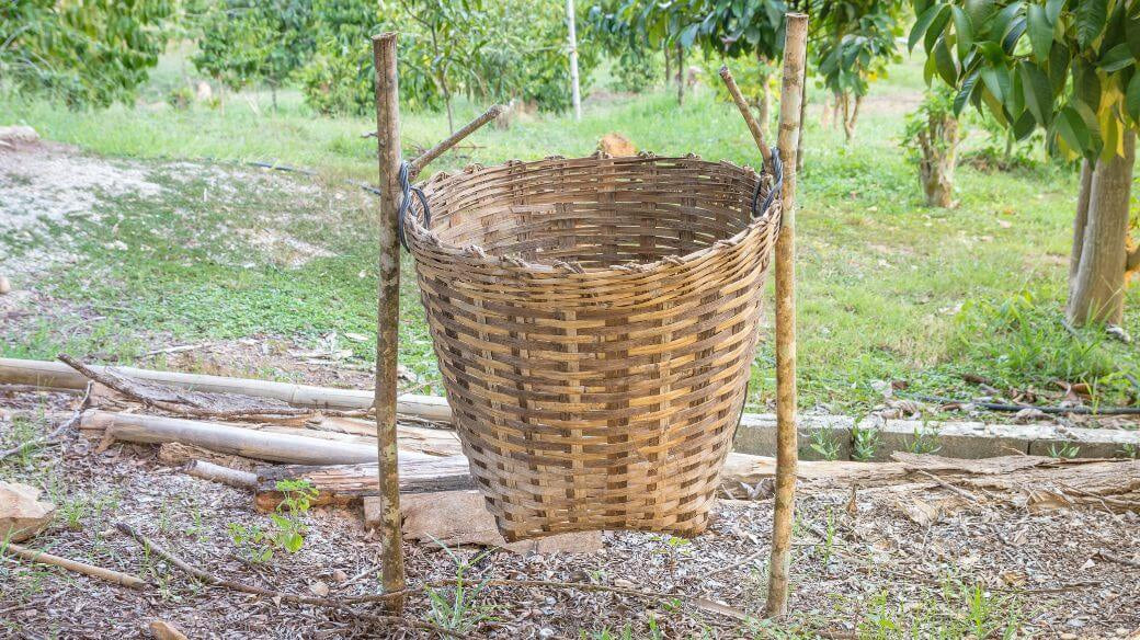 Du jetable au réutilisable : comment les objets en bambou changent nos habitudes