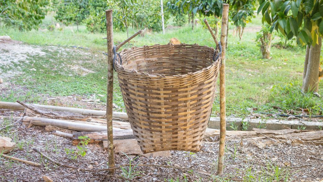 Du jetable au réutilisable : comment les objets en bambou changent nos habitudes