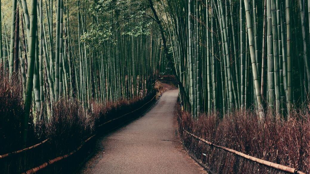 D’où viennent nos produits ? Qu'est-ce que le Dropshipping ?