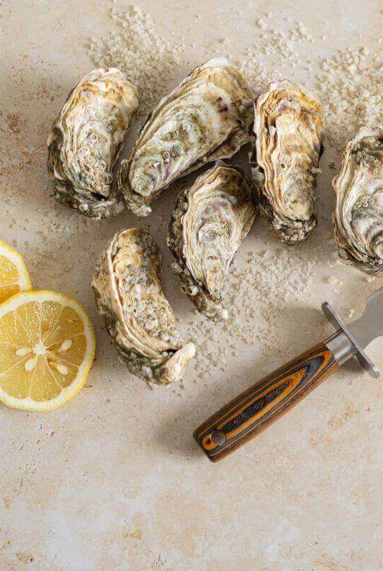 Couteau à Huîtres en Bois d'Étimoé - My Bambou