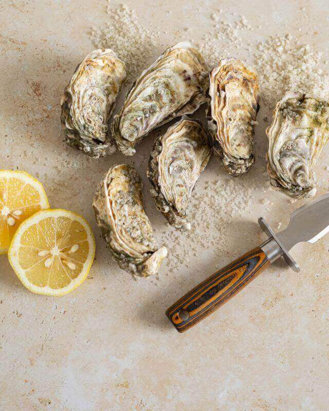 Couteau à Huîtres en Bois d'Étimoé - My Bambou