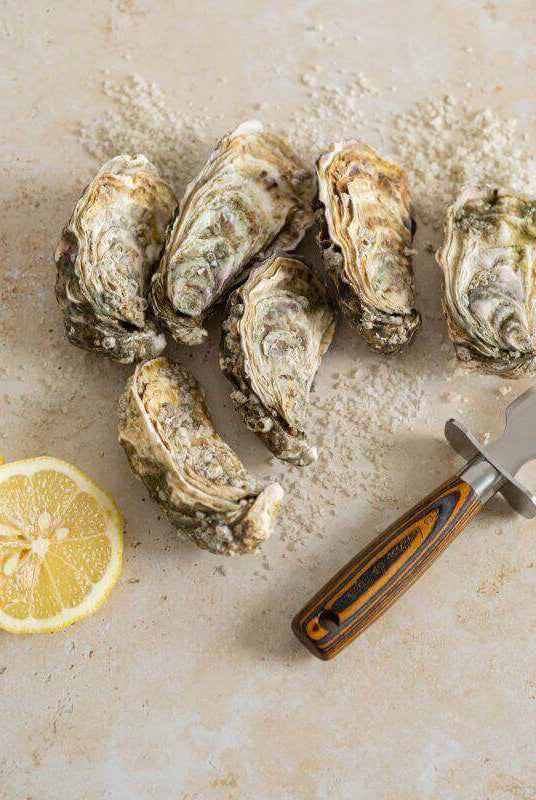 Couteau à Huîtres en Bois d'Étimoé - My Bambou