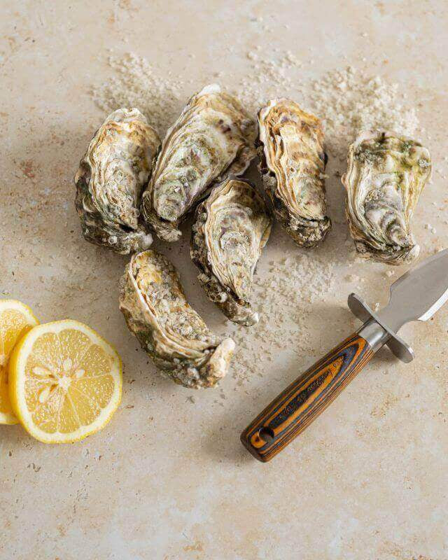 Couteau à Huîtres en Bois d'Étimoé - My Bambou