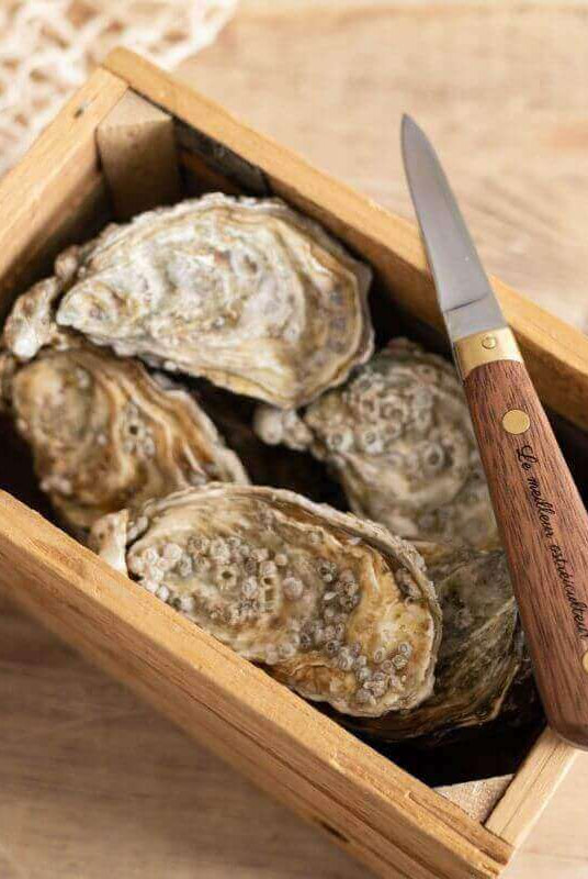 Couteau à Huîtres Personnalisable en Bois - My Bambou