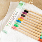 Brosse à Dents Bambou Personnalisable Poils souples - My Bambou