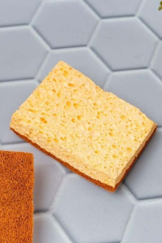 Éponges Naturelles en Fibre de Coco, Palmes & Coton - My Bambou - My Bambou