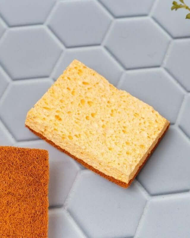 Éponges Naturelles en Fibre de Coco, Palmes & Coton - My Bambou - My Bambou