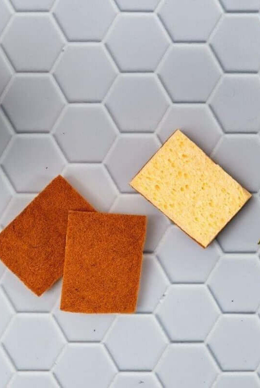 Éponges Naturelles en Fibre de Coco, Palmes & Coton - My Bambou - My Bambou