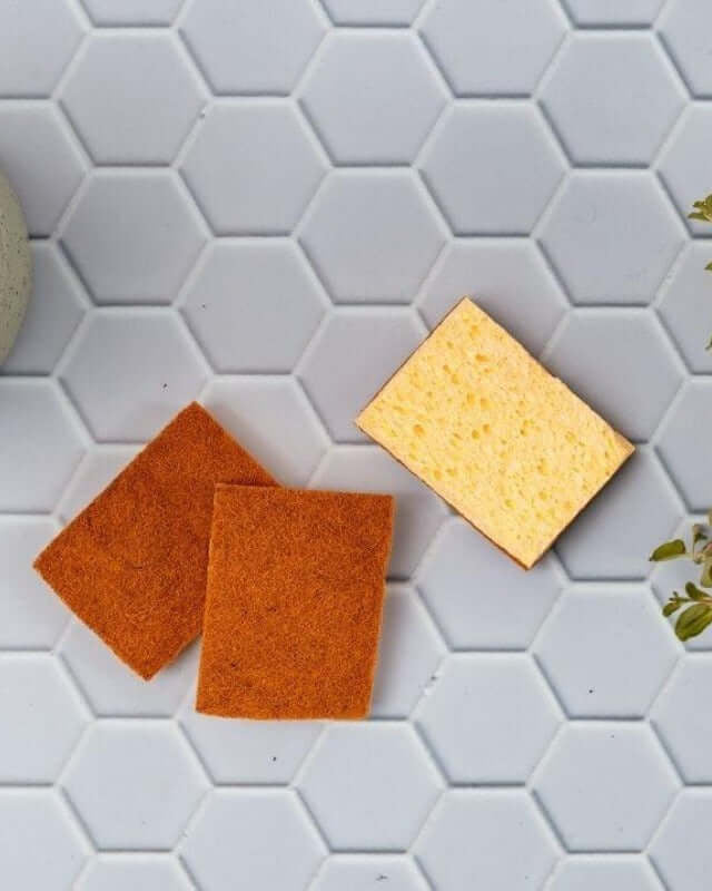 Éponges Naturelles en Fibre de Coco, Palmes & Coton - My Bambou - My Bambou