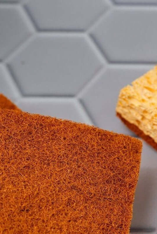 Éponges Naturelles en Fibre de Coco, Palmes & Coton - My Bambou - My Bambou