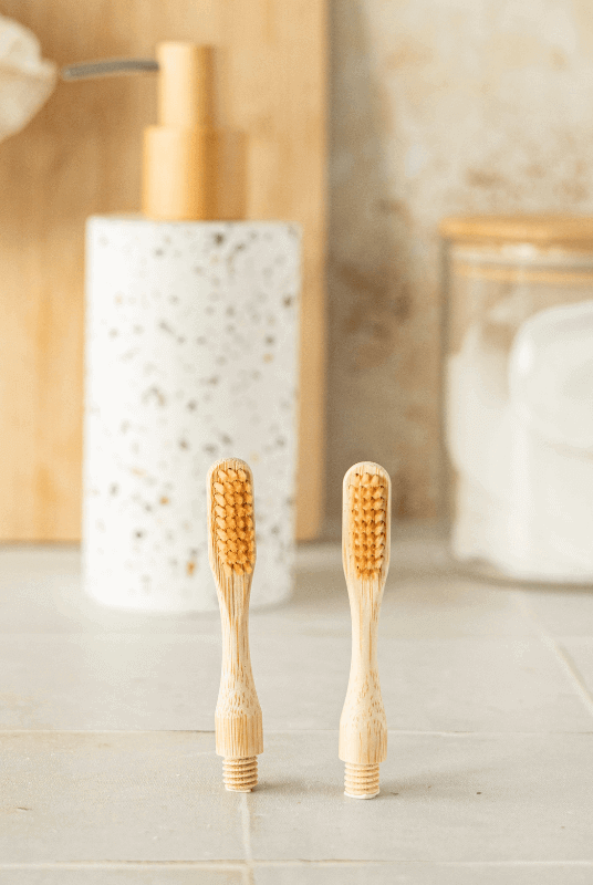 Tête de Brosses à Dents en Bambou (x2)