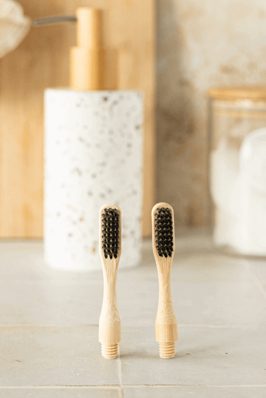 Tête de Brosses à Dents en Bambou (x2)
