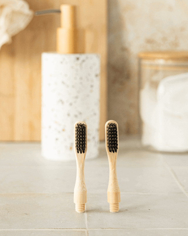 Tête de Brosses à Dents en Bambou (x2)