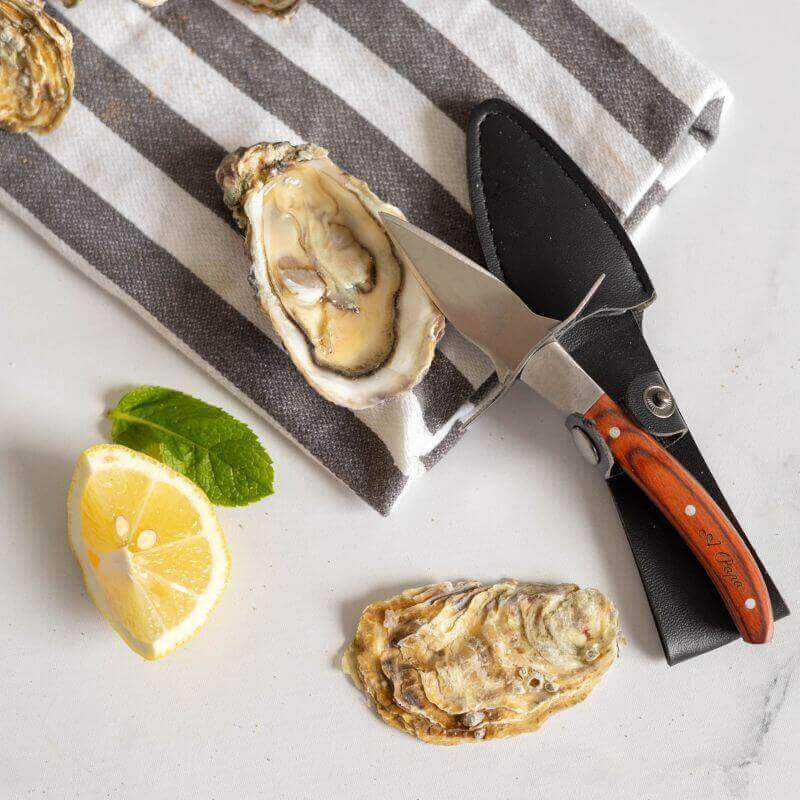 Couteau à huîtres professionnel avec garde