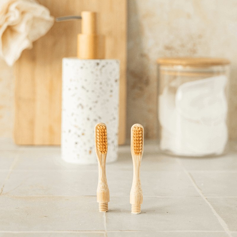 Tête de Brosses à Dents en Bambou (x2)
